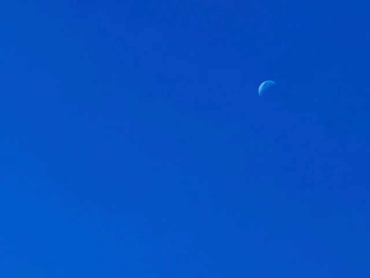 김낙동, 沒我1 (서북능선 1310)